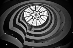 IMG_8110