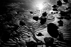 SNR_9324-bw