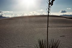IMG_1863-Kopie